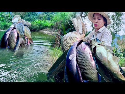 Traditional Bamboo Fishing Skills - Catching Giant Fish in Ancient Forests with Bamboo Planks