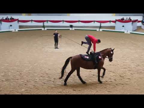 EM2025  Nationenpreis Lukas BRONCE