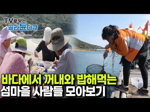 주변에 슈퍼도 마트도 없어, 배고프면 바다에서 재료 장보고 꺼내먹는 섬마을 사람들 모아보기|한국기행|#골라듄다큐