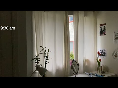 Daily diary: scattered