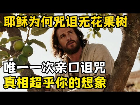 耶稣为何要亲口咒诅无花果树，背后的真相绝对超乎你的想象。