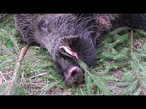 Jagd an der Müritz    Hunting Movie