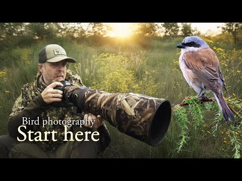 Bird photography for BEGINNERS - Field craft with Trond Westby