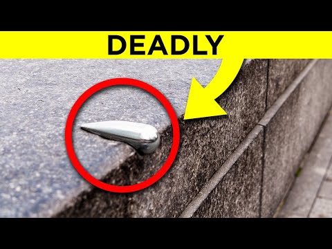 When City Planning Fails Us