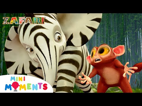 The Hunt For An Intruder!! π²π΄β¨ | Zafari | Lulu / The Bear Facts - Full Episodes | Mini Moments
