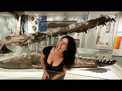 10 Incredibly Well-Preserved Prehistoric Fossil Discoveries!