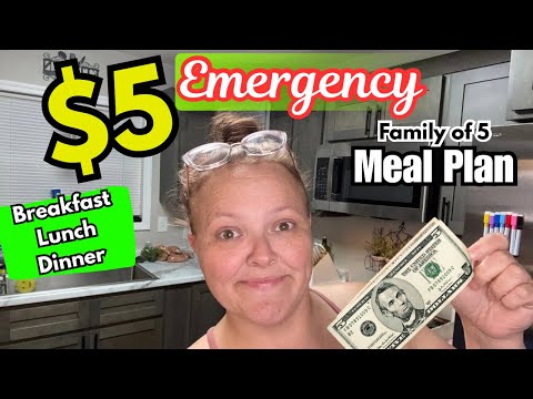 $5 EMERGENCY Meal Plan Makes Breakfast, Lunch, & Dinner For My Family Of 5 || Meals For Hard Times