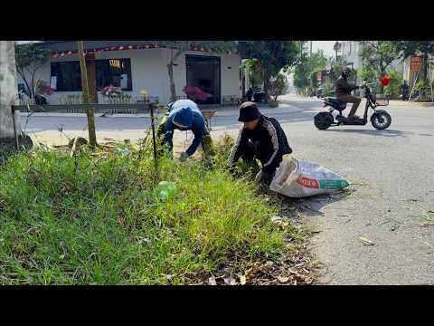 They Say I'm Crazy to CLEAN SIDEWALKS FOR FREE | HOW ABOUT YOU??