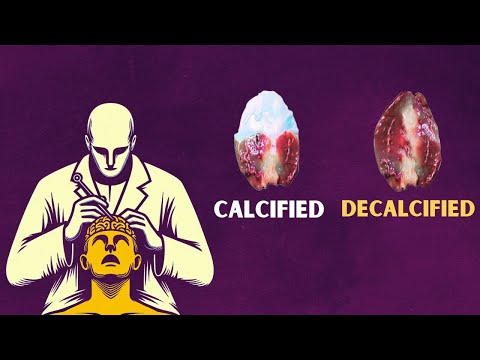 5 Ways to DECALCIFY Your PINEAL GLAND