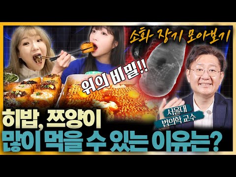 (1시간 순삭) 열심히 먹은 당신.. 보아라! 설 특집 장기 모음_zip (위, 담낭, 소장)