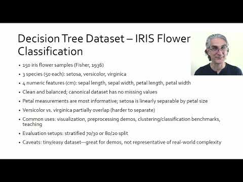 Decision Trees