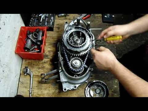 Puch SG 250 engine cleaning ( part 1 )