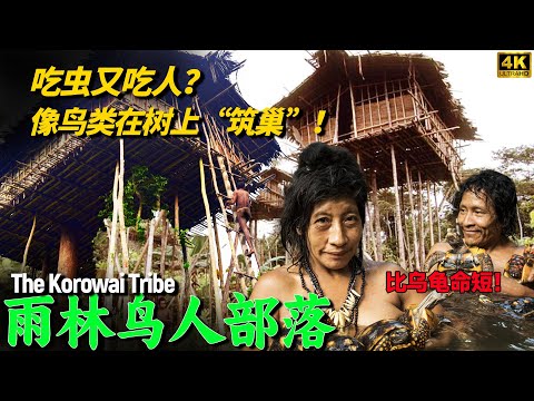 The "Birdmen" tribe in the rainforest:Even shorter-lived than the short-lived tribes of Africa?