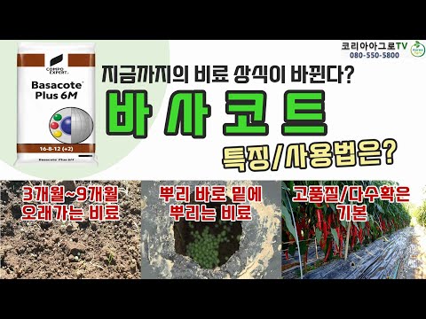 바사코트 특징과 사용방법은?