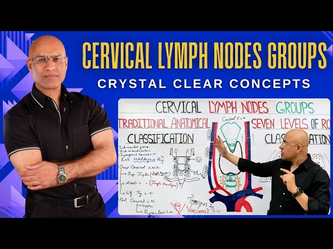 Cervical Lymph Nodes Groups