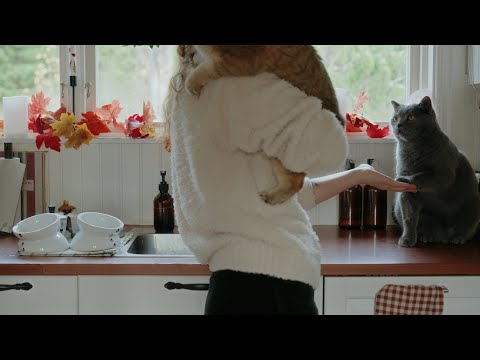 The Video I Hoped I’d Never Have to Make