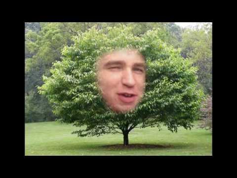 The Harry Scott project - Harrys used to be a tree