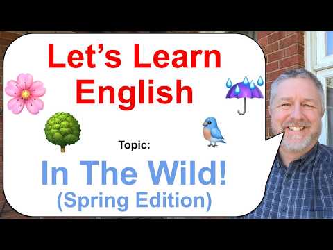 Let's Learn English! Topic: Found in the Wild! ☔🌸🐦