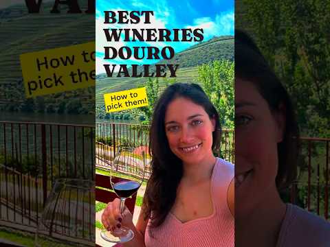 How to choose the Best Wineries in the Douro Valley 🍷🇵🇹