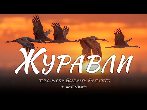 Песня «Журавли» — это трогательная история о верности, взаимопомощи и настоящей христианской любви