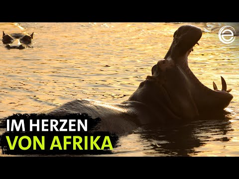Myth of the Congo – River of Extremes | Experience Earth