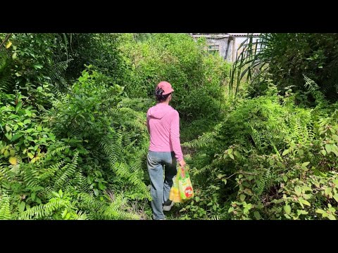 Cleaning up the abandoned house of a dead war invalid and encountering a surprise