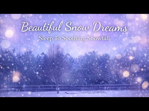 Relaxing snow falling in the Carolinas