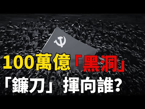 財政的錢究竟去哪了？丨地方政府破產丨公務員降薪丨醫保告急丨鐵飯碗破裂丨房產稅丨土地財政崩潰丨中國財政丨白髮革命丨