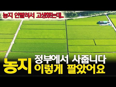 (정보) 농지 안팔려서 힘드나요? 나라에 파는 방법 알려 드립니다 농어촌공사 공공임대용 농지매입사업 농지은행 농지연금