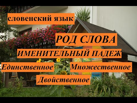 Словенский язык. Род слова. Именительный падеж. Один, два и много.