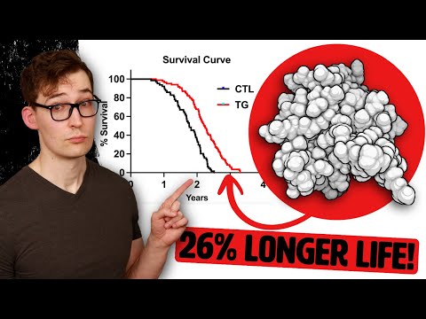 The Most Potent Longevity Hormone you’ve Never Heard - and How to Activate it, Naturally