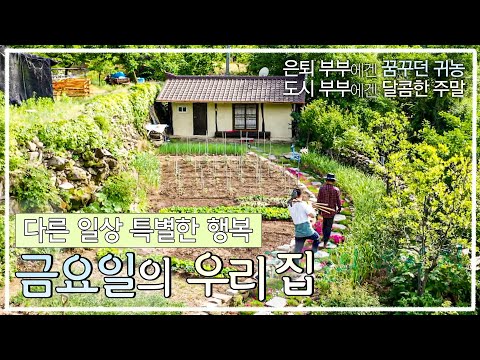 산자락 쓰러져가는 폐가를 샀을 때 엄마에겐 큰 뜻이 있었다ㅣ은퇴 부부에겐 꿈꾸던 귀농을, 도시 부부에겐 달콤한 주말을ㅣ다른 일상 특별한 행복ㅣ금요일의 우리 집ㅣ한국기행ㅣ#골라듄다큐
