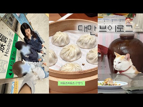 대만 여행 브이로그 ✰ 허우통 고양이 마을 ・ 인생 딤섬과의 만남 ✰ Taiwan Vlog