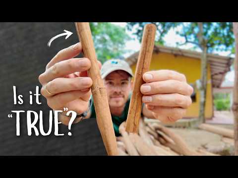 Where is Cinnamon From? | The True Story of Ceylon vs Cassia