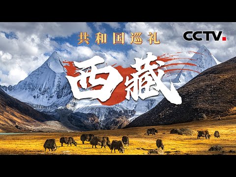 飞越“宝”藏瞰拉萨，一镜到底看绝美秋日西藏！此生必去景点之一，现在到珠峰旅游有哪些新体验？| CCTV「共和国巡礼 庆祝中华人民共和国成立75周年特别节目」20240926