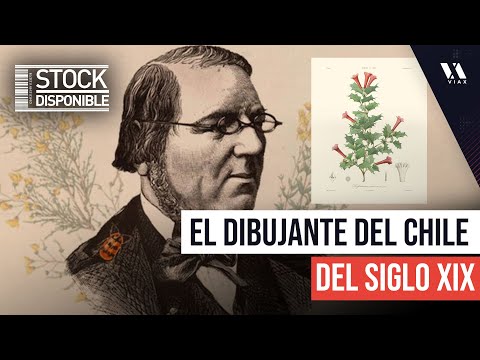 El naturalista, historiador y geógrafo que delineó el rostro de Chile / El Poder De La Historia
