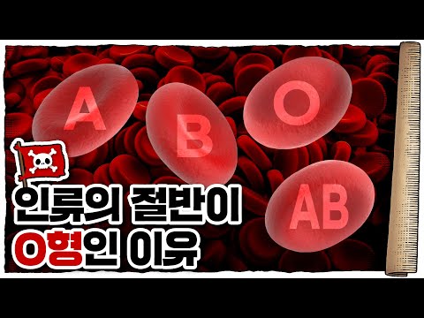 💀 나라마다 혈액형🅰️🅱️🅾️ 비율이 다르다고? / 💀 혈액형은 왜, 어떻게 존재하는 걸까?