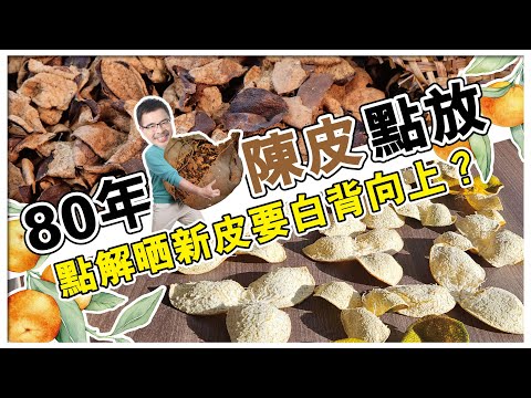 點解新會陳皮最出名？青皮？二紅皮？大紅皮？多少斤茶枝柑才能弄成一斤乾陳皮？不同年份陳皮著重甚麼？舊陳皮發了霉/蟲蛀了點處理？為何首曬陳皮要白色內囊向上？自曬陳皮還需要注意甚麽？陳皮有何功效？#新會陳皮