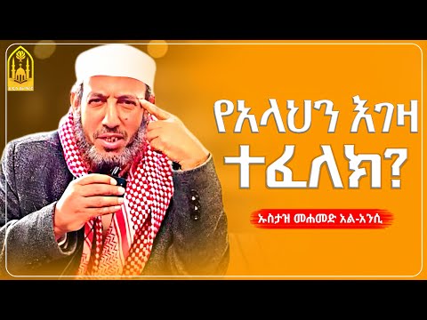 የአላህን እገዛ ከፈለክ? ||ኡስታዝ ሙሐመድ አል-አንሲ||ምርጥ ሙሀደራ |ሀዲስ በአማርኛ|ሀድስ ትምህርት|hadis amharic|dawa amharic|ሀደስ|ሀዱስ