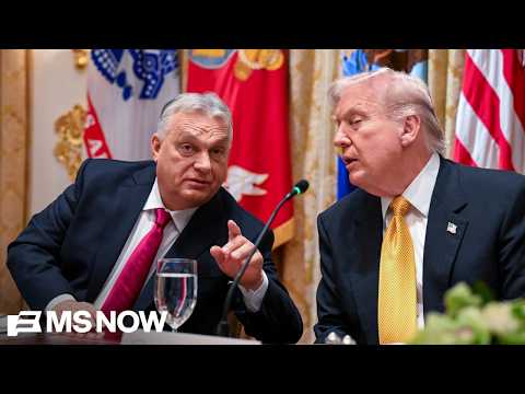 Viewing Hungary as ‘model’ for U.S.: What Vance’s visit with Vicktor Orban means for Trump’s America