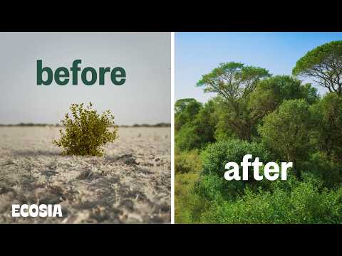 We Tried a Different Reforestation Method — With Incredible Results