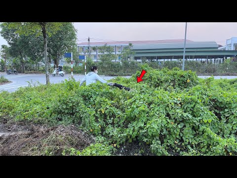 The mystery of the abandoned land makes people afraid that no one dares to clean it up