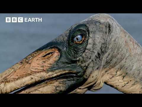Iconic Dinosaur Moments from Walking With Dinosaurs (1999) | BBC Earth