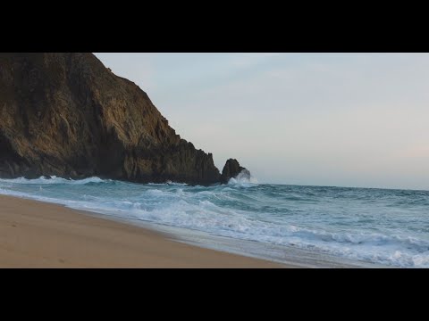 Leaps by Bayer - Collaboration