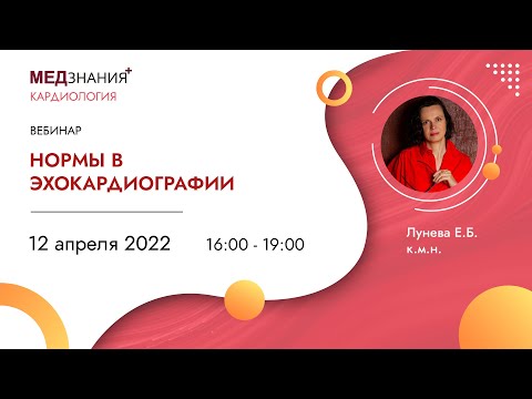 Нормы в эхокардиографии
