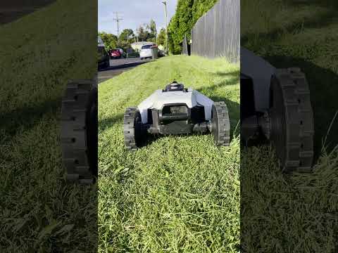 Yuka cutting long grass