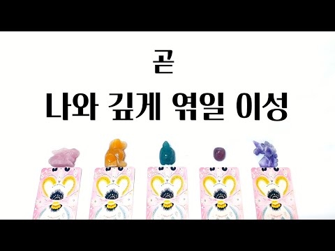 [타로] 나와 깊은 인연으로 엮일 이성