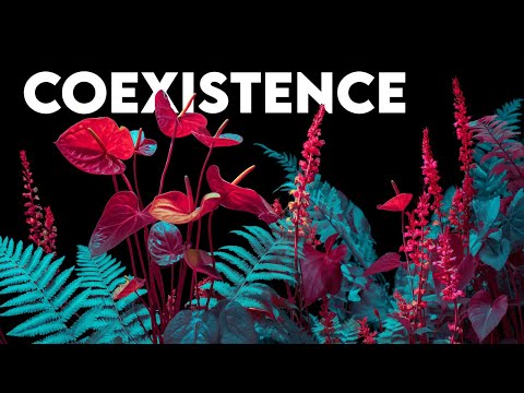 How Plants Learned to Share the Same Space