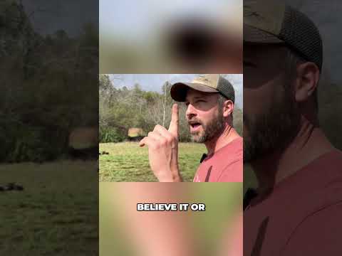 🦆Any Animal Can Be an Alarm System!