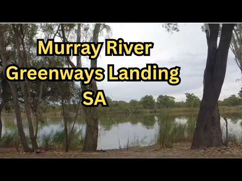 I Found a FREE Murray River Campsite… And It’s Better Than I Thought